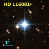 HD 116081