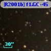 [R2001b] f1.GC-45