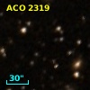 ACO  2319