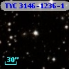 TYC 3146-1236-1