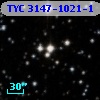 TYC 3147-1021-1
