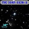 TYC 3147-1120-1