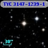 TYC 3147-1239-1