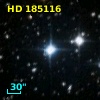 HD 185116
