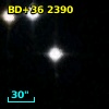 BD+36  2390