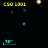 CSO 1001