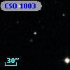 CSO 1003
