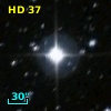 HD     37