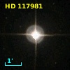 HD 117981