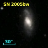 SN 2005bw
