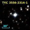TYC 3556-2314-1
