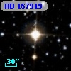 HD 187919
