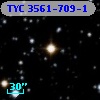 TYC 3561-709-1