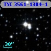 TYC 3561-1304-1