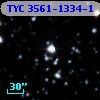 TYC 3561-1334-1