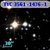 TYC 3561-1436-1