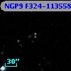 NGP9 F324-1135585
