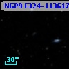 NGP9 F324-1136179