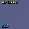 HD 118873