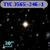 TYC 3565-246-1