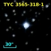 TYC 3565-318-1