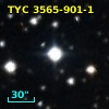 TYC 3565-901-1