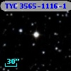 TYC 3565-1116-1