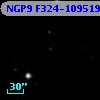 NGP9 F324-1095191