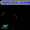 NGP9 F324-1144469