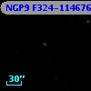 NGP9 F324-1146764
