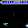 NGP9 F324-1148266