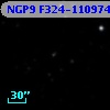 NGP9 F324-1109749