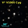 V* V1005 Cyg