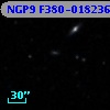 NGP9 F380-0182364