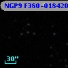 NGP9 F380-0184204