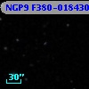 NGP9 F380-0184306