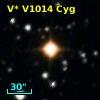 V* V1014 Cyg
