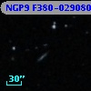 NGP9 F380-0290805