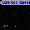 NGP9 F380-0295604