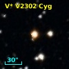 V* V2302 Cyg
