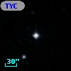 TYC 1998-163-1