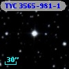 TYC 3565-981-1
