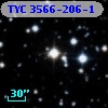 TYC 3566-206-1