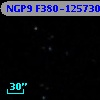 NGP9 F380-1257305
