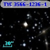 TYC 3566-1236-1