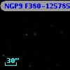 NGP9 F380-1257850