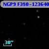 NGP9 F380-1236403