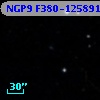 NGP9 F380-1258912