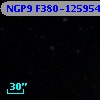 NGP9 F380-1259542