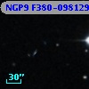 NGP9 F380-0981299